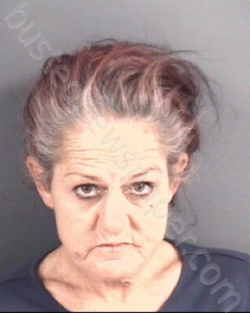 SCOTT, WENDY RENEE #, Cumberland County, North Carolina - 2024-02-20