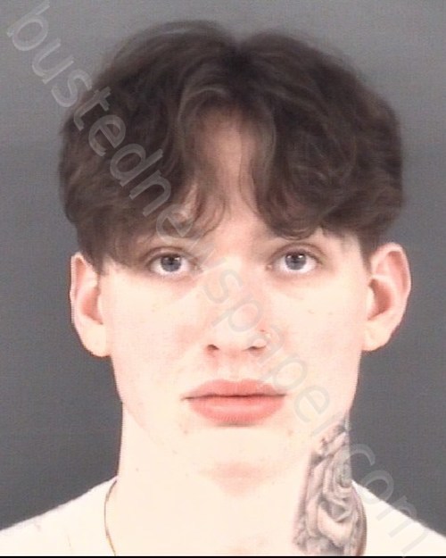 THOMPSON, ZEB VANCE #, Cumberland County, North Carolina - 2024-02-20