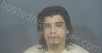 GOMEZ, PEDRO CARMEN | 2024-02-20 12:54:00 St. Joseph County, Indiana Booking
