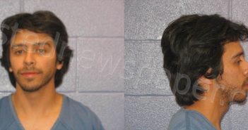 CANAVA, RAUL ADRIEL | 2024-02-20 Andrews County, Texas Booking