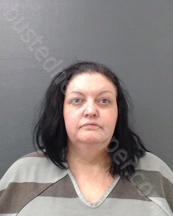 LEWIS, AMANDA MICHELLE #, Comal County, Texas - 2024-02-20