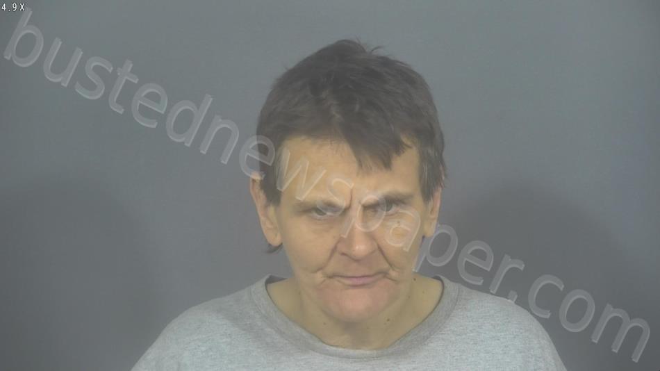 HOWARD, LISA MARIE #, St. Joseph County, Indiana - 2024-02-20 20:50:00
