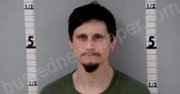 KRICHER, DUSTIN MICHAEL | 2024-02-21 14:13:00 Gratiot County, Michigan Booking