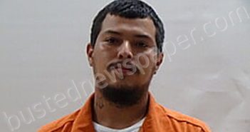 VILLAFANA LUIS DAVID | 2024-02-22 Cameron County, Texas Booking