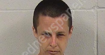 <B>NELSON</B>, <B>CHELSEA</B> <B>ROSE</B> #, Dickinson County, Kansas - 2024-02-22 18:03:00
