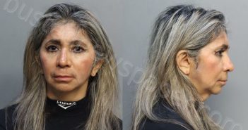 VALLEJOS, GRISELDA | 2024-02-23 21:08:00 Miami-Dade County, Florida Booking