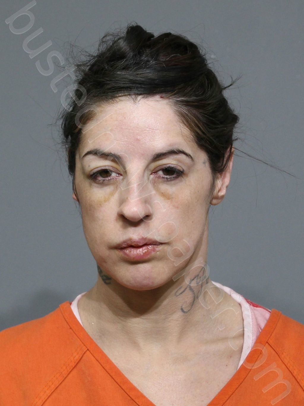 VINSON-CHAVEZ, KRYSTAL MICHELLE #, York County, South Carolina - 2024-02-23 00:11:15