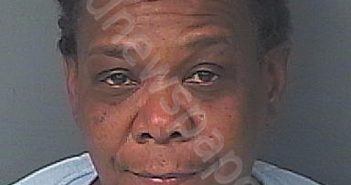 CLARK, DELANA MARIE | 2024-02-23 07:15:00 Hernando County, Florida Booking