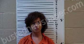STINCHCOMB, CRISTIN ELISE | 2024-02-23 01:13:00 Cherokee County, North Carolina Booking