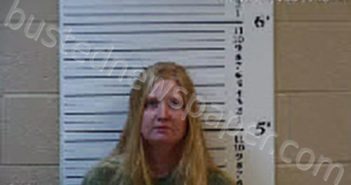 WELCH, HALEY FRANCES | 2024-02-23 07:54:00 Cherokee County, North Carolina Booking