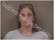 JOHNSON, KIMBERLY | 2024-02-23 Harnett County, North Carolina Booking