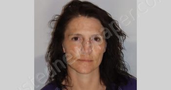 SHEAWA SHIENA D | 2024-02-24 Leon County, Florida Booking