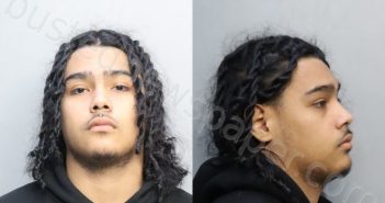 RODRIGUEZ, BRAYAN | 2024-02-24 08:48:00 Miami-Dade County, Florida Booking