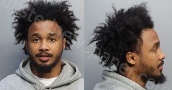 WALLACE, TARRELL MCKINLEY | 2024-02-24 02:47:00 Miami-Dade County, Florida Booking