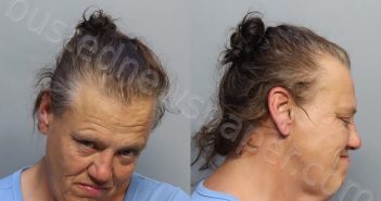 DONKEL, VALERIE ANNE | 2024-02-24 19:27:00 Miami-Dade County, Florida Booking