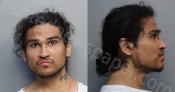 LOZOYA, CLARENCE | 2024-02-24 16:45:00 Miami-Dade County, Florida Booking