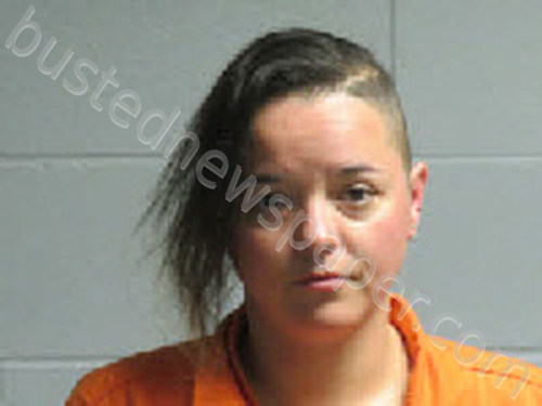 HEIDELBERG, ANGELICA MARIE #, Polk County, Texas - 2024-02-24 10:34:00