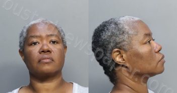 ROSEME, MARIELUCE | 2024-02-24 17:01:00 Miami-Dade County, Florida Booking