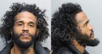 DELGADO, DAMIANI | 2024-02-24 20:49:00 Miami-Dade County, Florida Booking