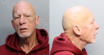 DONNELL, JOEL | 2024-02-25 01:06:00 Miami-Dade County, Florida Booking