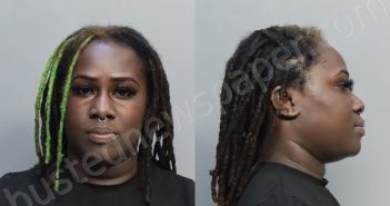 MEZIER, SHELOVE | 2024-02-25 22:13:00 Miami-Dade County, Florida Booking