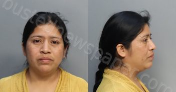 RAMIREZASICONADEBOP, TEREZA | 2024-02-25 20:18:00 Miami-Dade County, Florida Booking