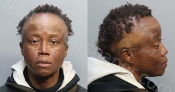 JOHNSON, TARA FAYE | 2024-02-25 21:28:00 Miami-Dade County, Florida Booking