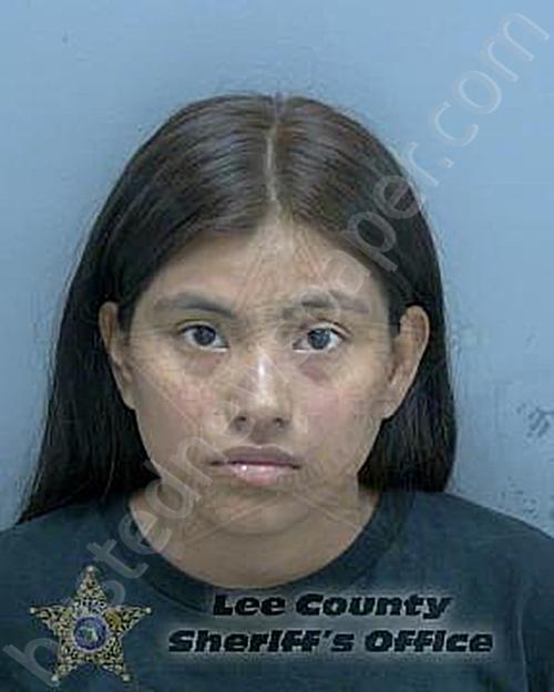 LOPEZ MORALES, ANNA CAROLINA #, Lee County, Florida - 2024-02-25 05:13:00