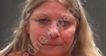 THOMPSON, DEBBIE ANN | 2024-02-25 02:15:00 Ohio County, West Virginia Booking
