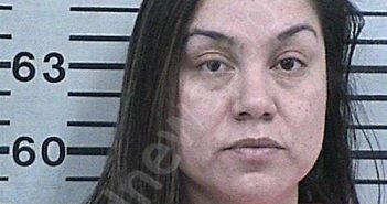 PEREZ-VARGAS, ANTONIA | 2024-02-25 12:36:33 Hood County, Texas Booking
