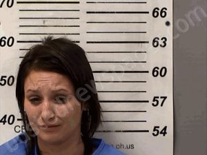 HERNANDEZ, TIFFANY ANN | 2024-02-26 22:39:00 Henry County, Ohio Booking