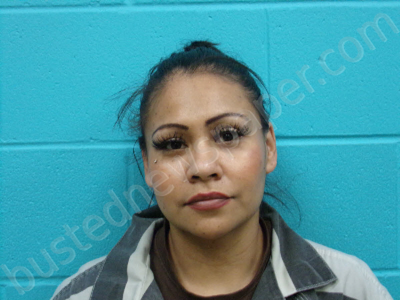 Laura Vera Garcia 20240226 Nolan County, Texas Booking