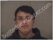 TELLEZ, MATEO | 2024-02-26 Harnett County, North Carolina Booking