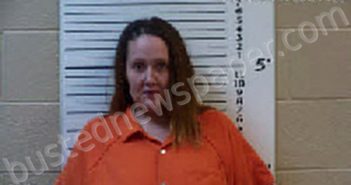 WALKER, KELLY DENISE | 2024-02-27 17:49:00 Cherokee County, North Carolina Booking