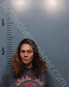 HERNANDEZ, RISHA FRANK | 2024-02-27 Taylor County, Texas Booking