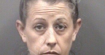 DALTON, ANGELA LEE | 2024-02-27 10:58:00 Rowan County, North Carolina Booking