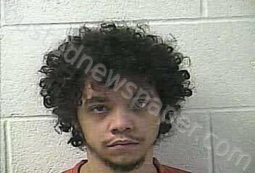 GRAY, ISAIAH DAVID #, Daviess County, Kentucky - 2024-02-28 20:42:00