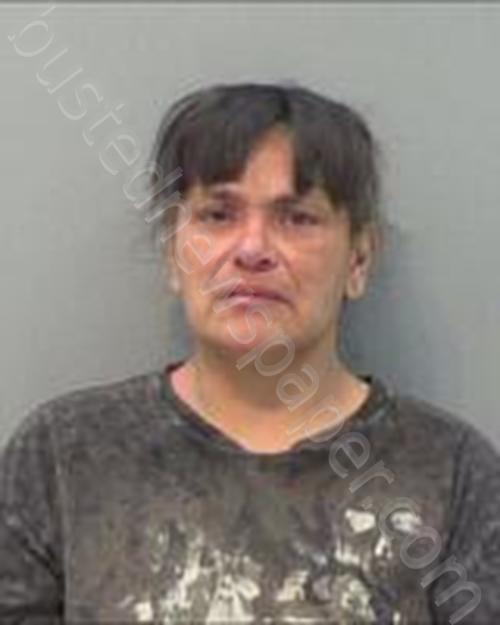 JANDIE SANCHEZ #, Tom Green County, Texas - 2024-02-29 17:48:00