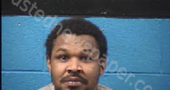 MINTZ, RAYMOND TRACY | 2024-02-29 11:45:00 Transylvania County, North Carolina Booking