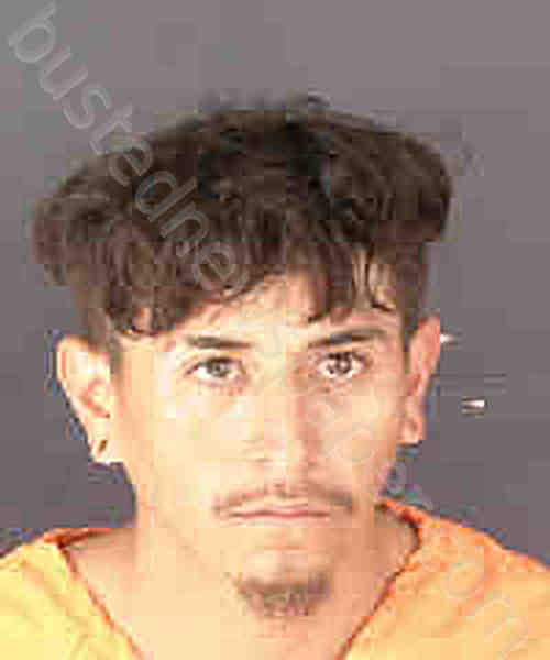 VASQUEZ REYES, OSCAR REYES,OSCAR ABEL #, Sarasota County, Florida - 2024-02-29