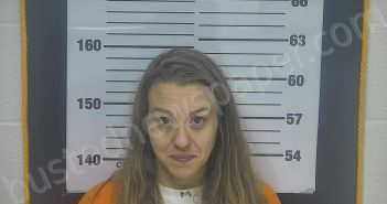 HARRIS, NICOLE A | 2024-03-01 16:04:00 Ottawa County, Ohio Booking