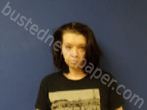 PARTIN, AARON MARIE #, Sampson County, North Carolina - 2024-03-01 21:24:00