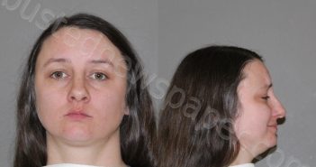 <B>WARREN</B>, <B>BRIANNA</B> <B>DAWN</B> #, Denton County, Texas - 2024-03-01