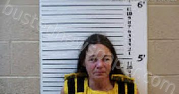 SPRINGER, GENEVIEVE ELLEN | 2024-03-03 15:46:00 Cherokee County, North Carolina Booking
