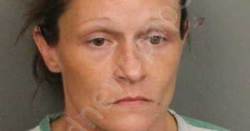 RICKLES, MENDY DENISE | 2024-03-03 11:30:00 Jefferson County, Alabama Booking