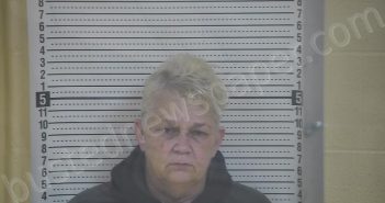 MATTINGLY, LISA ANN | 2024-03-04 17:23:00 Taylor County, Kentucky Booking