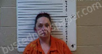 ANDERSON, CANDICE LEANN | 2024-03-06 20:33:00 Cherokee County, North Carolina Booking
