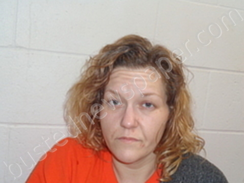 ALICIA LEE #, Izard County, Arkansas - 2024-03-06 05:58:00