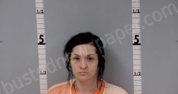 ROJAS, HILLARY ANN | 2024-03-07 09:58:00 Gratiot County, Michigan Booking