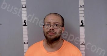 GRANT JR, RENARD | 2024-03-07 23:14:00 Gratiot County, Michigan Booking